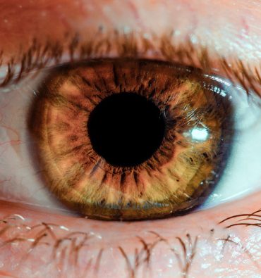 portada-fotografiar-ojos-desde-muy-cerca-macro-1024x682